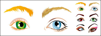 Vector - ojos hermosos