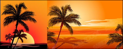 Playa de Coco puesta sombra vector