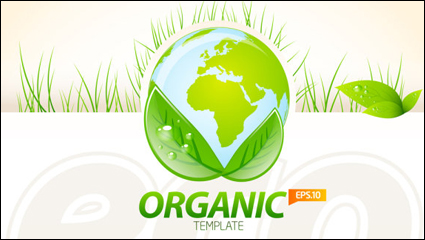 Material ecolgico, diseño de la disposicin 04 - vector