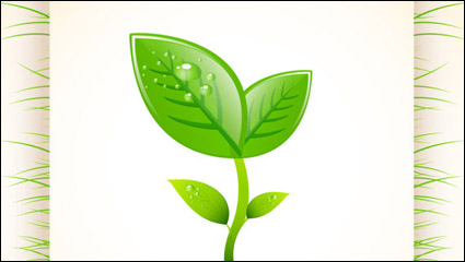 Material ecolgico, diseño de la disposicin 05 - vector