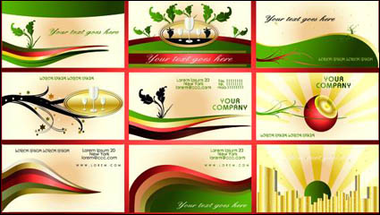 Tarjeta europea de fina patrn de diseño de la plantilla vector de material