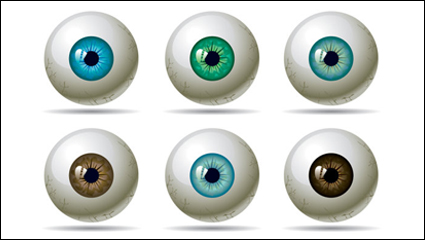Una variedad de la pupila del ojo - vector