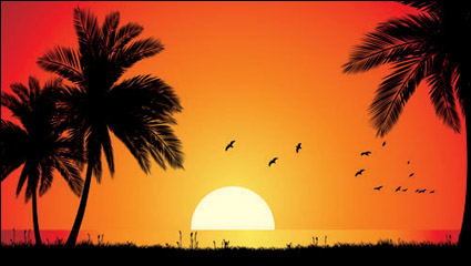 La playa en el atardecer material de vectores