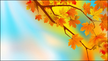 Hermoso fondo de la hoja de arce 02 - vector