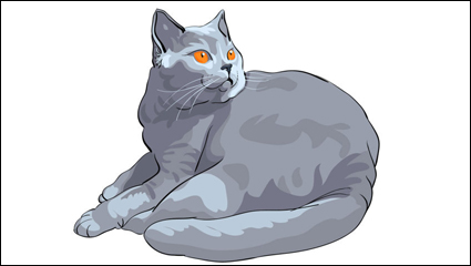 Animal del gato de material 03 - vector