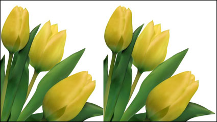 Tulipanes brillantes 03 - vector de material