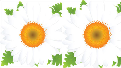 Hermosas flores pequeñas de material de vectores -2