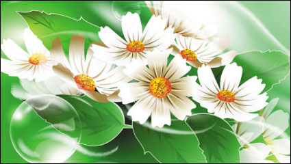 Hermosas flores 03 - vector de material