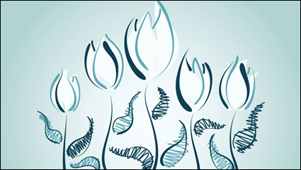 Pintado a mano tulipanes vector de material