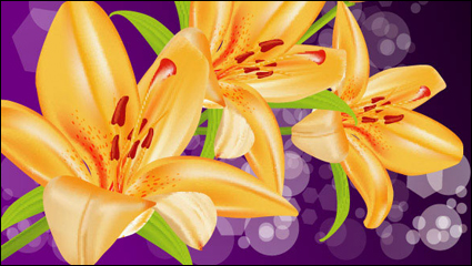 Lirio amarillo vectorial -5