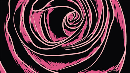 Rosas -3 vectorial parcial