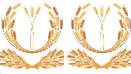 Trigo amarillo 05 - vector de material