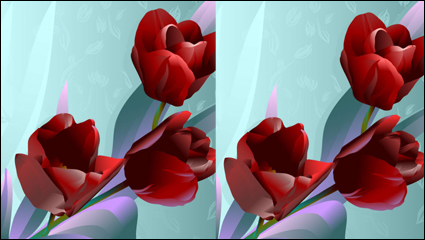 Vector de Rose 01 - Vector