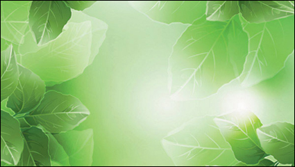 Planta de sueño vector material de fondo -4