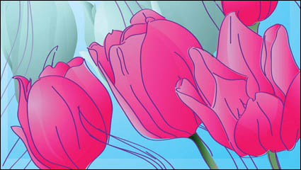 Pintado a mano tulipanes vector de material -1