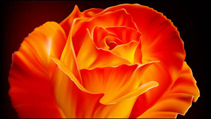 Rosas vector de material