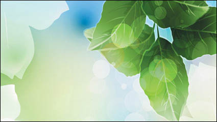 Planta de sueño vector material de referencia -6