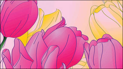 Pintado a mano tulipanes vector de material -2