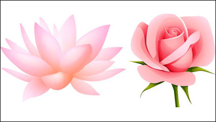 Hermosas flores pequeñas de material de vectores -4