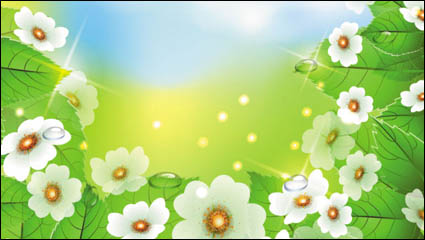Hermosas flores 04 - vector de material