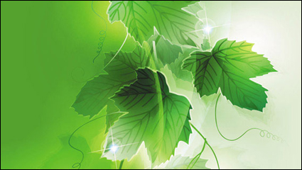 Planta de sueño vector de fondo material de -5