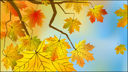 Hermoso fondo de la hoja de arce 03 - vector