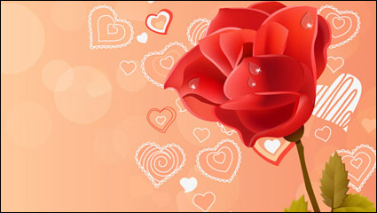 Rosa rosa rosa roja de vectores