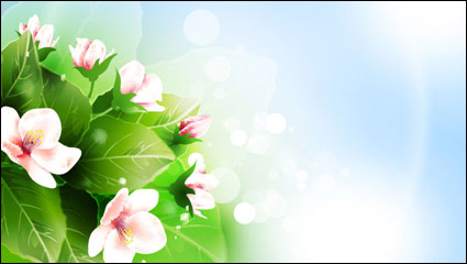 Hermosa flores vector material -2
