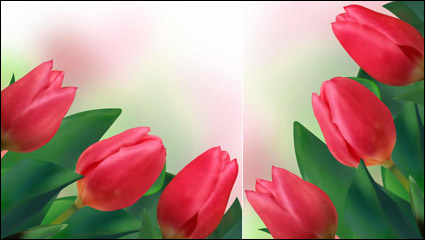 Tulipanes brillantes 02 - vectoriales