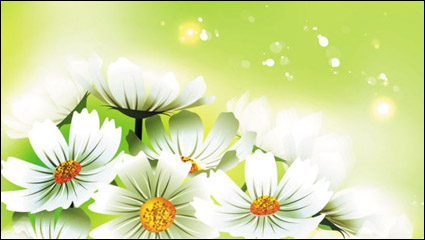 Hermosas flores 01 - vector