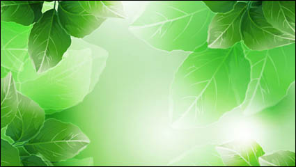 Hermoso verde deja material de vectores