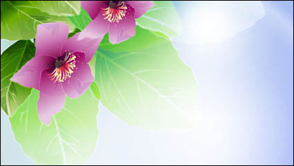 Hermosas flores -3 vector de material