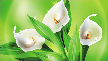 Hermosas flores 02 - vectoriales