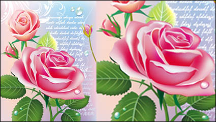 Hermosas rosas 03 - vectoriales