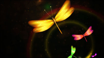 Colorido dragonfly - vector de material