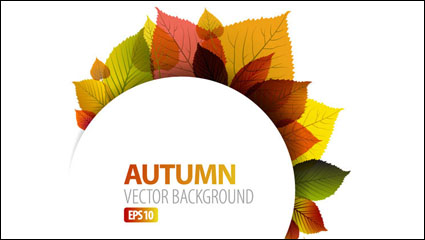 Hojas de otoño vector de material -1