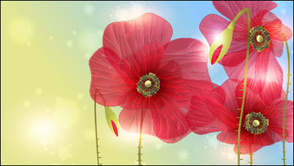 Exquisitas flores 05 - vector material