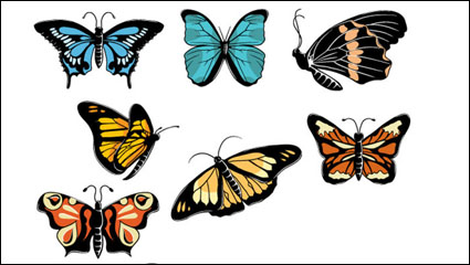 Hermosas mariposas - vector