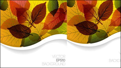 Hojas de otoño de diseño -3 vector material