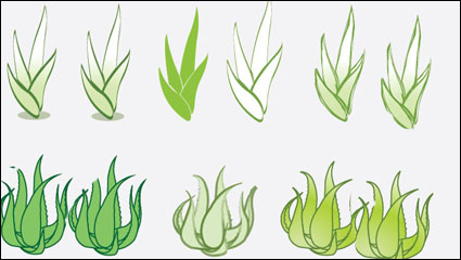 vector material Aloe