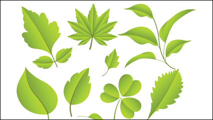 Hojas materia vector material - 02
