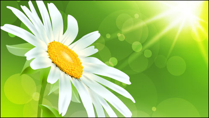 Exquisitas flores 04 - vector de material