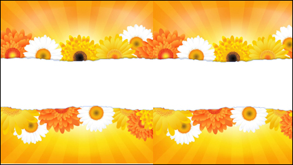 Flores ptalos fondo de encaje 04 - vector