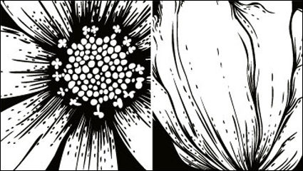 Las flores vector material grabado -1