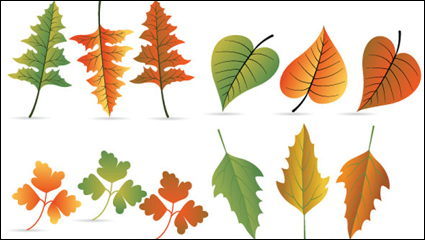 Hojas de material de 04 - vector de material