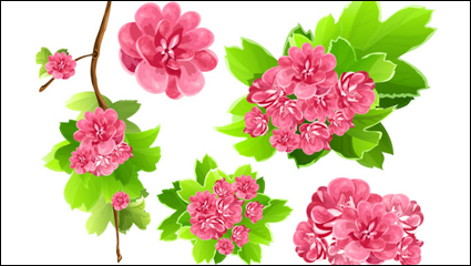 Las flores fondo 02 - vector de material
