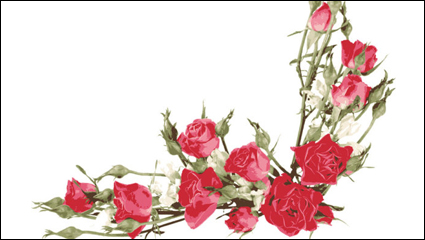 Rose bouquet 04 - vector de material