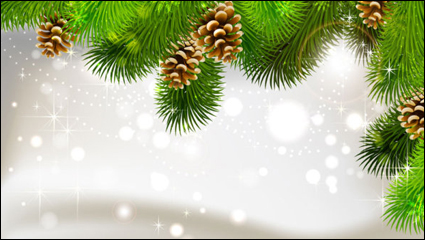 El exquisito Navidad bola fondo 02 - vector de material