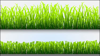Planta 02 - Vector