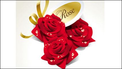 Rosas hermosas 03 - vector de material